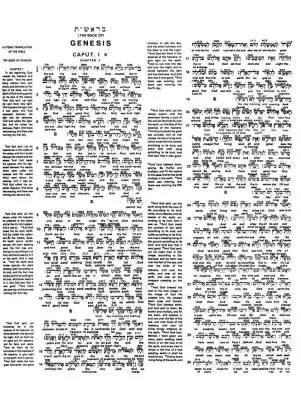 639774_2_exc_dp.webp