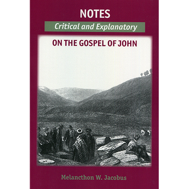 Notes on the Gospels: Critical and Explanatory on John - Softcover 