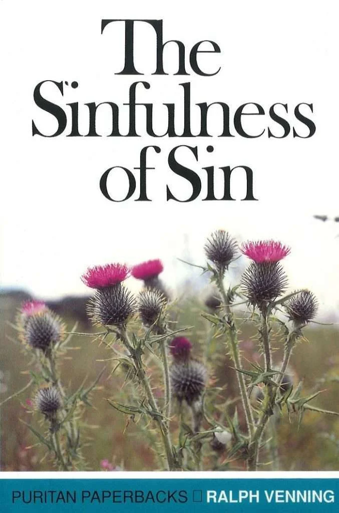 The Sinfulness of Sin 
