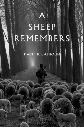 [A Sheep Remembers] A Sheep Remembers