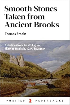 [Smooth Stones taken from Ancient Brooks (Puritan Paperbacks)] Smooth Stones taken from Ancient Brooks (Puritan Paperbacks)
