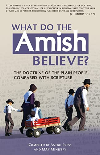 [9781622454044] What Do the Amish Believe?