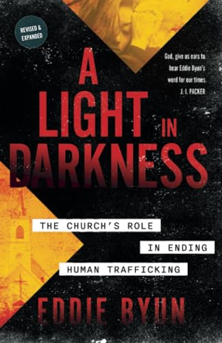 [9781622459193] A Light in Darkness