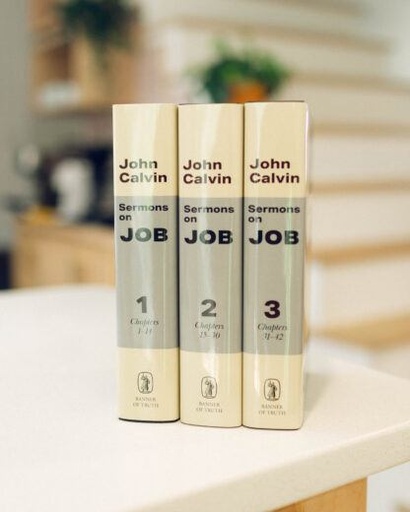 [Sermons on Job (3 Vol. Set)] Sermons on Job (3 Vol. Set)