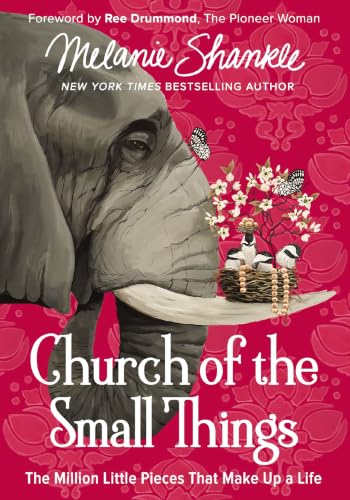 [9780310351030] Church of the Small Things: The Million Little Pieces That Make Up a Life