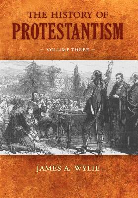 [9781599252728] The History of Protestantism